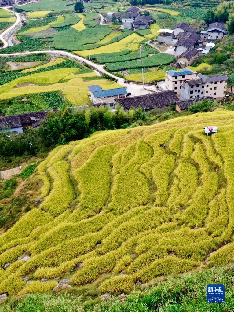 大宝lg游戏注册